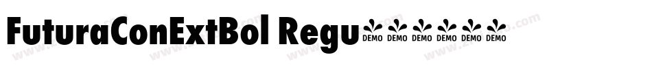 FuturaConExtBol Regu字体转换